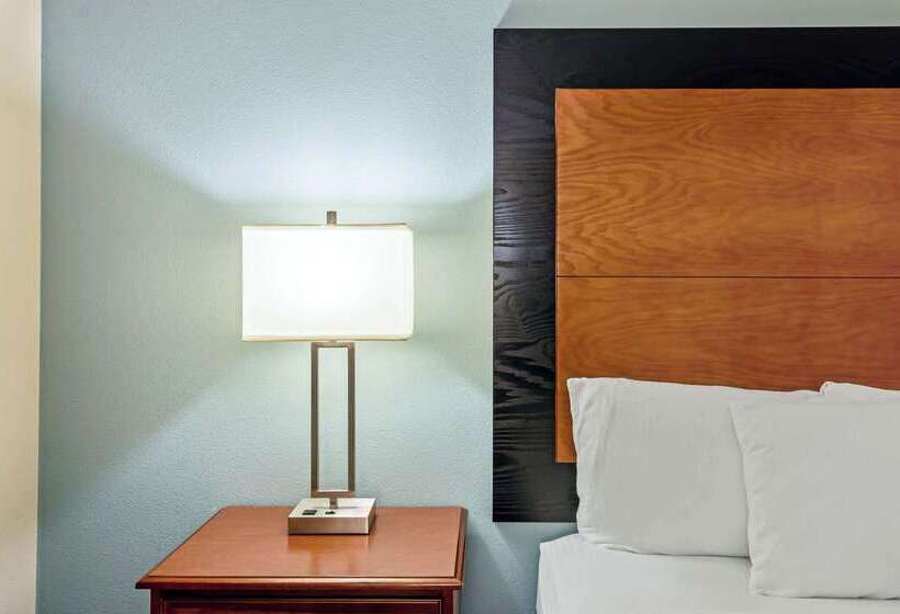 فندق La Quinta By Wyndham Santa Rosa