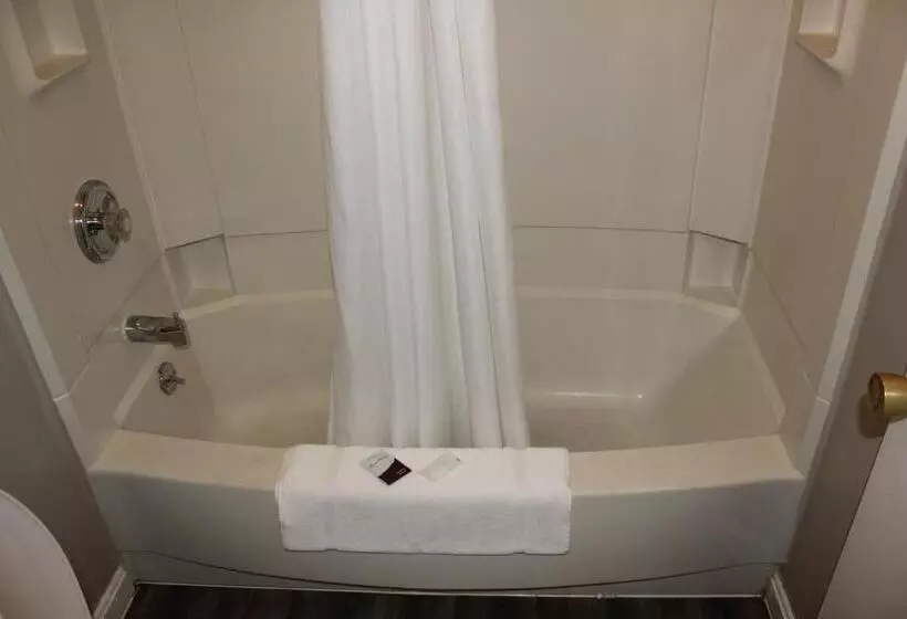 בית מלון כפרי Red Carpet Inn  Louisville