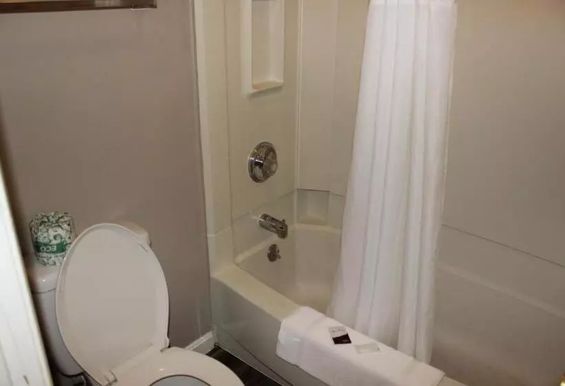 בית מלון כפרי Red Carpet Inn  Louisville