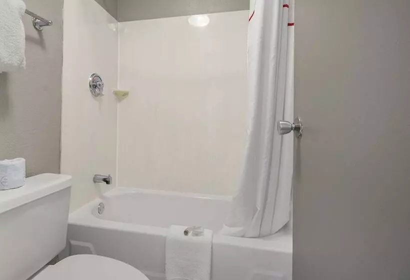 فندق Red Roof Inn Detroit  Royal Oak/ Madison Heights