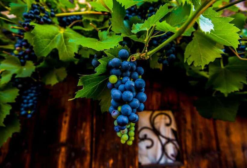 بنسيون Chambre D Hôtes Et Gites Du Tapissier