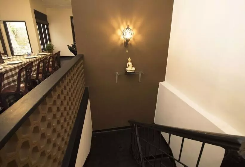 The Oasis Hostel