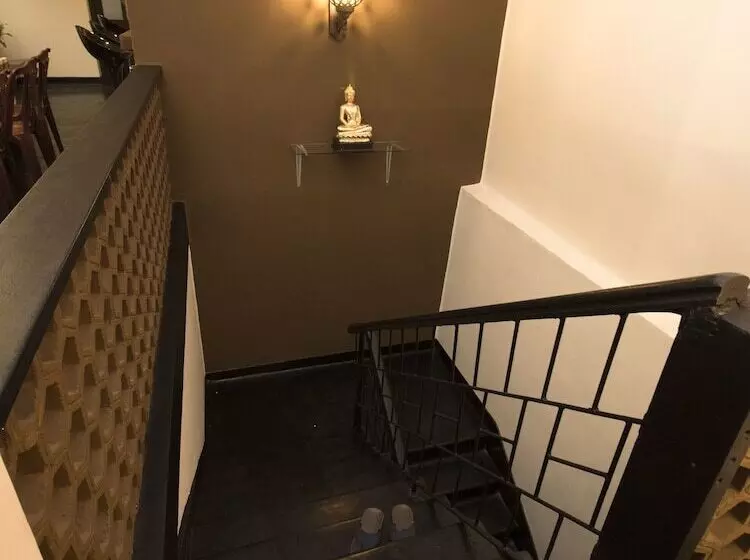 The Oasis Hostel