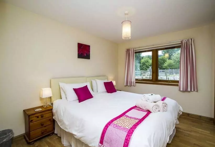 Torcastle House B&b