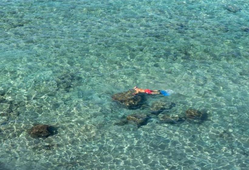 فندق صغير Adventure House Tenerife