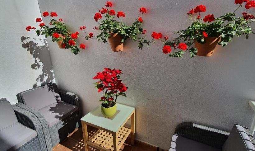 فندق صغير Adventure House Tenerife