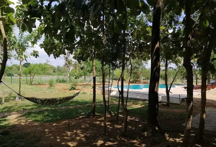 Lomakeskus Breezy Lake Eco Friendly Cabanas Yala