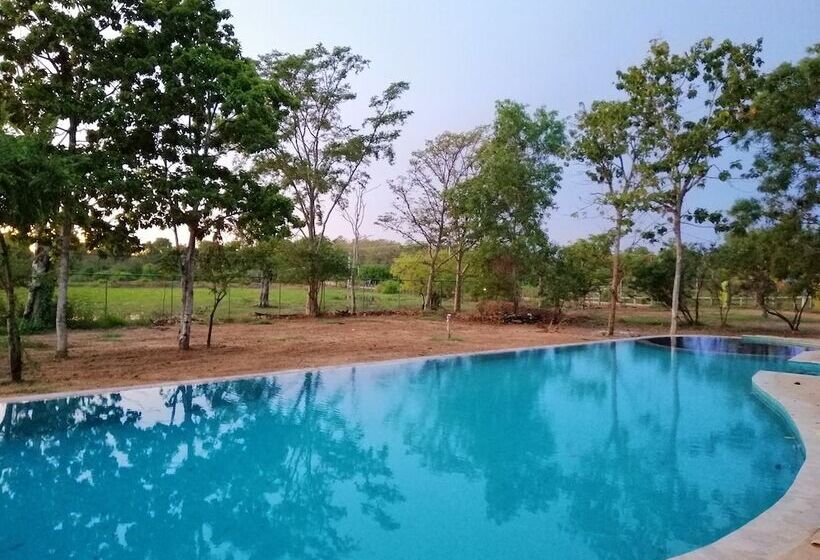 リゾートホテル Breezy Lake Eco Friendly Cabanas Yala