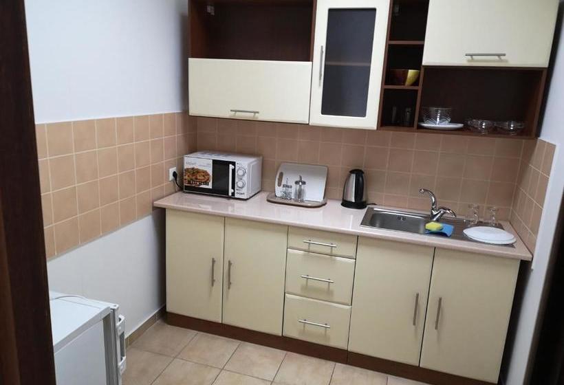 هاستل Academ House