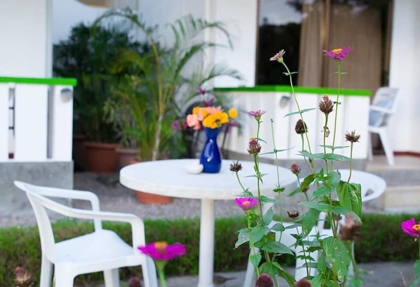 Evergreen Apartments