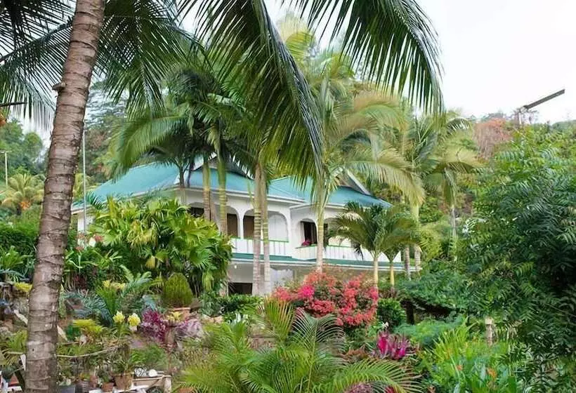 Evergreen Apartments