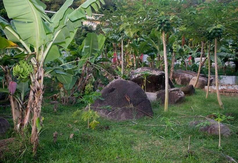 Evergreen Apartments