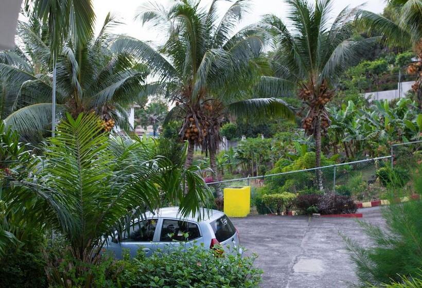 Evergreen Apartments