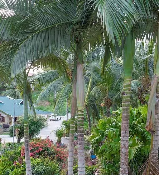 Evergreen Apartments