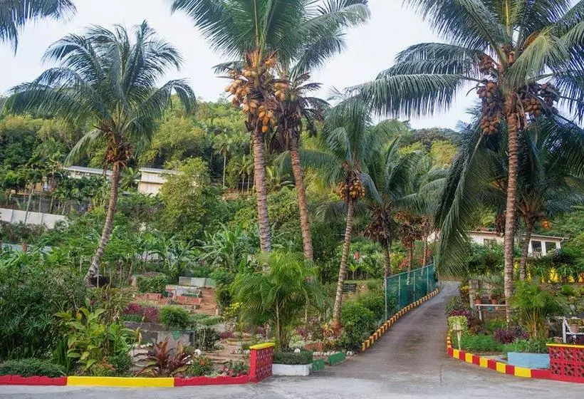 Evergreen Apartments