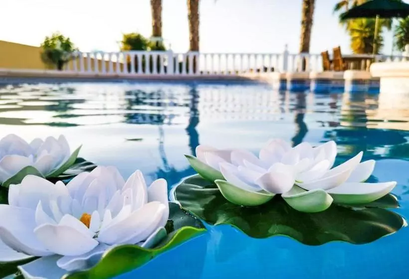 Villa 98 Bed & Breakfast