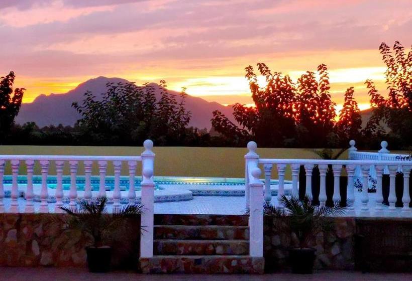 Villa 98 Bed & Breakfast