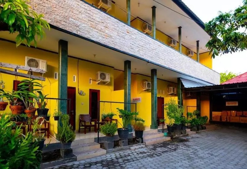 ホテル Spot On 2732 Sandy Guesthouse