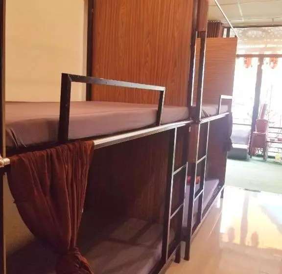 هتل کپسول Codohomestay Garden