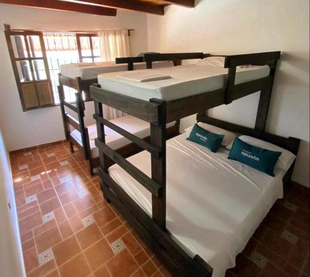 پانسیون Kayena Hostel