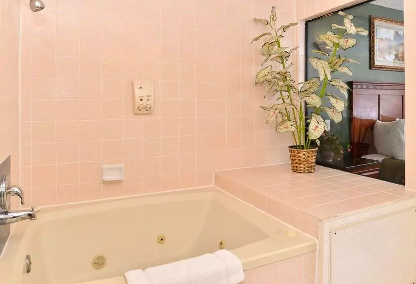 酒店 Americas Best Value Inn Redlands San Bernardino