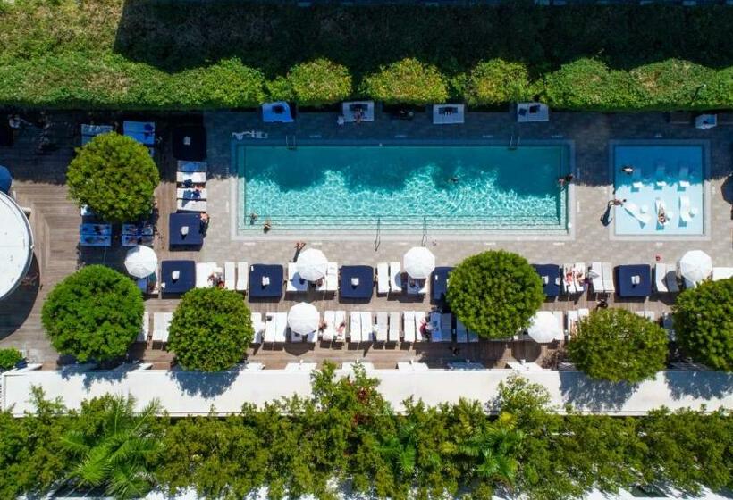 Отель Nautilus Sonesta Miami Beach
