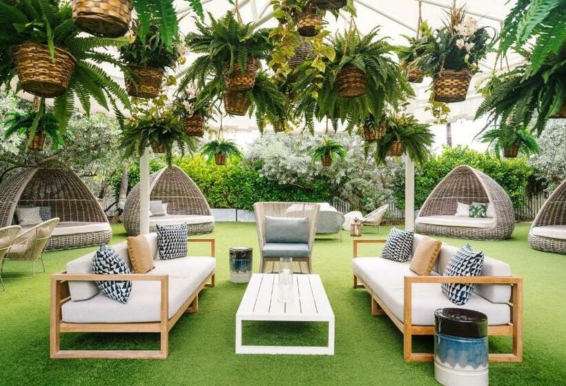 Отель Nautilus Sonesta Miami Beach