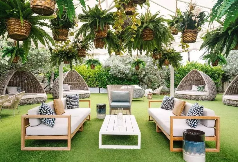 酒店 Nautilus Sonesta Miami Beach