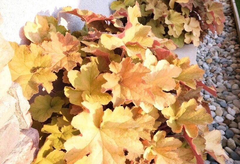 בית מלון כפרי Regency Inn Of Eddyville Kuttawa