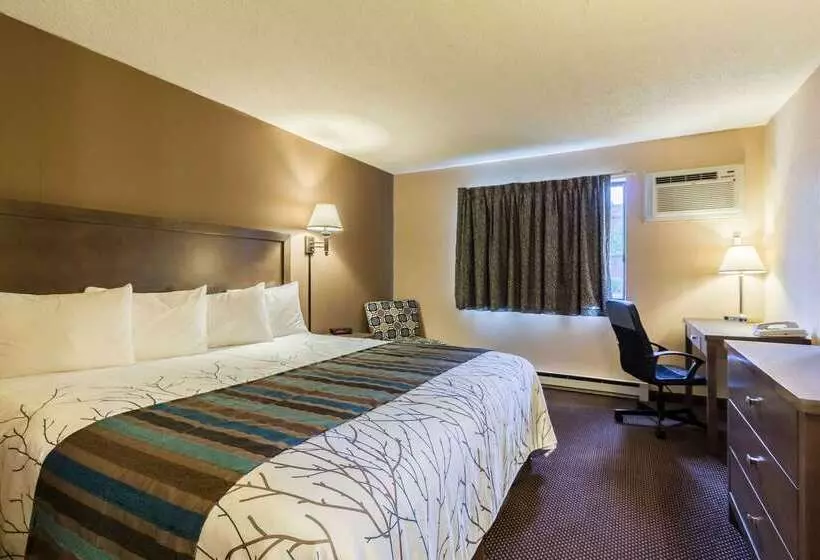 בית מלון כפרי Rodeway Inn