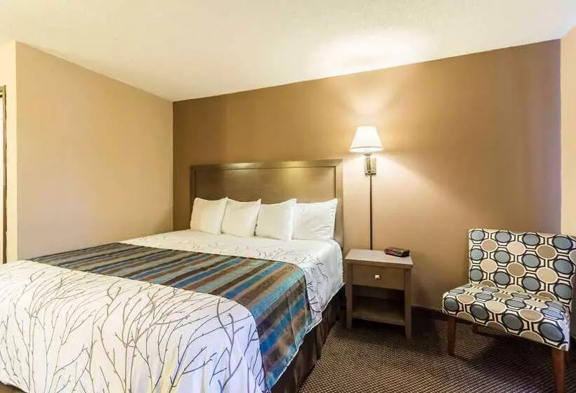 בית מלון כפרי Rodeway Inn