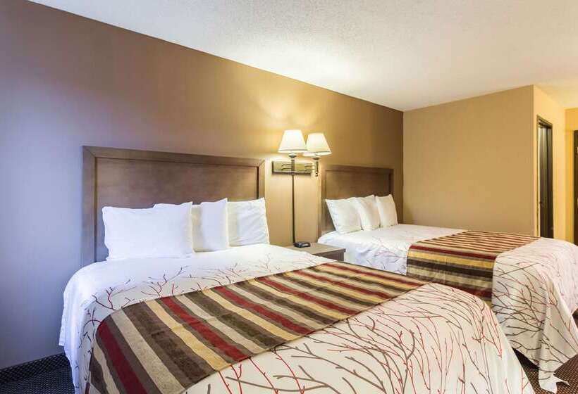 ホテル Rodeway Inn