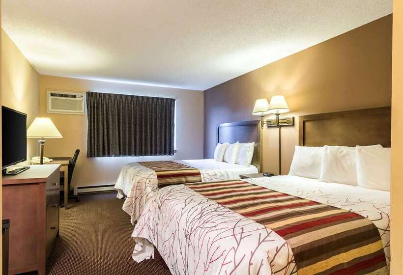 ホテル Rodeway Inn