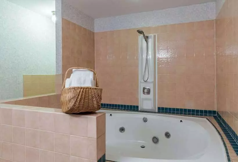 בית מלון כפרי Rodeway Inn