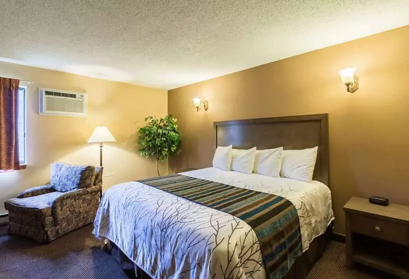 בית מלון כפרי Rodeway Inn