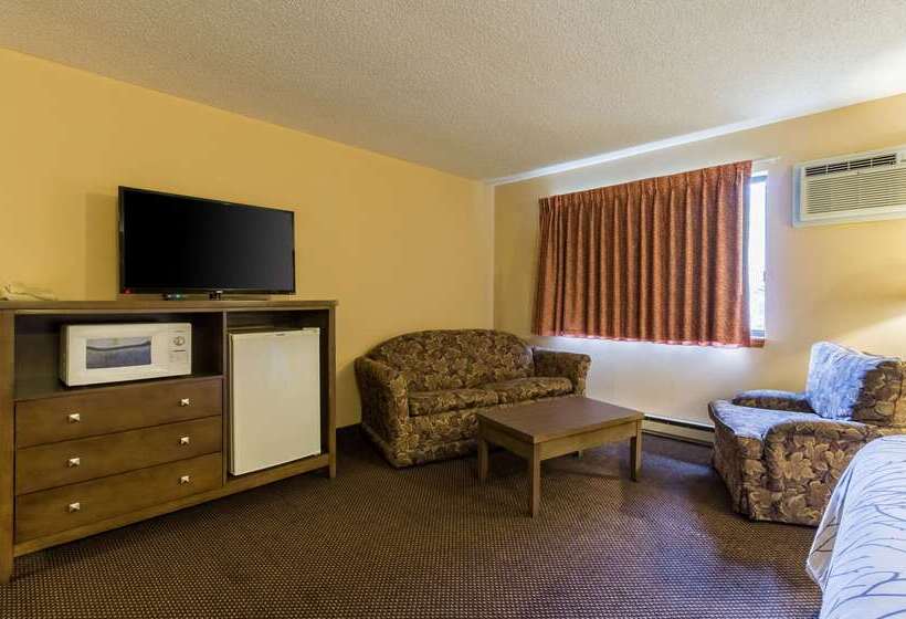 ホテル Rodeway Inn