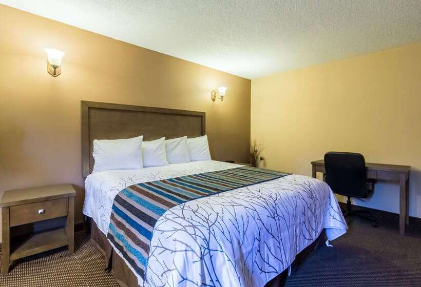 ホテル Rodeway Inn