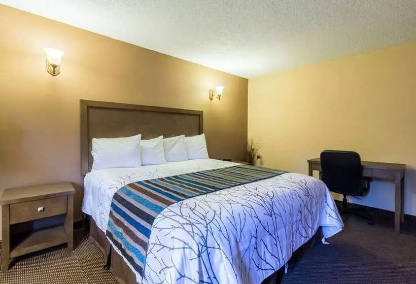 בית מלון כפרי Rodeway Inn