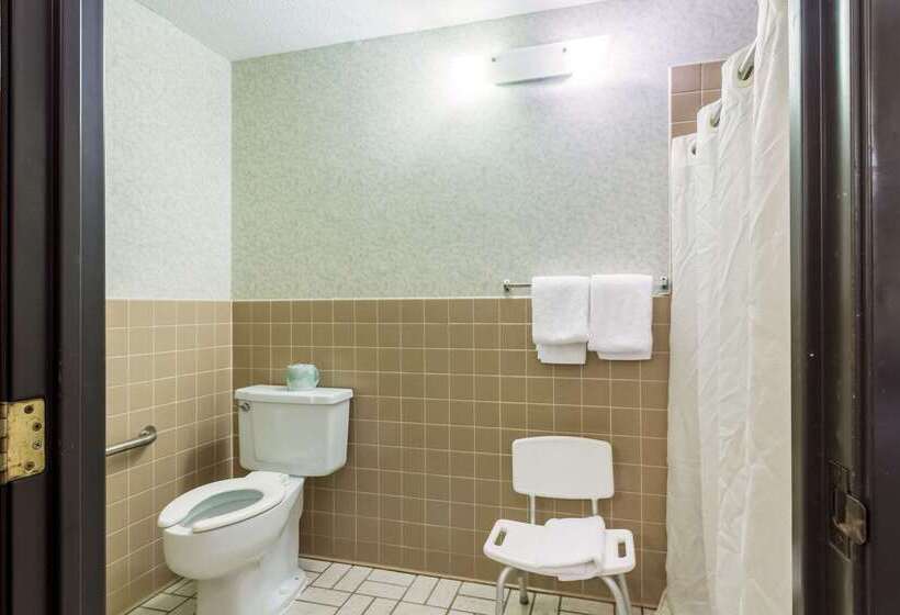 ホテル Rodeway Inn