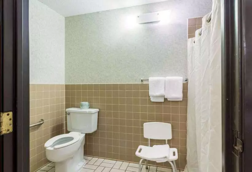 בית מלון כפרי Rodeway Inn