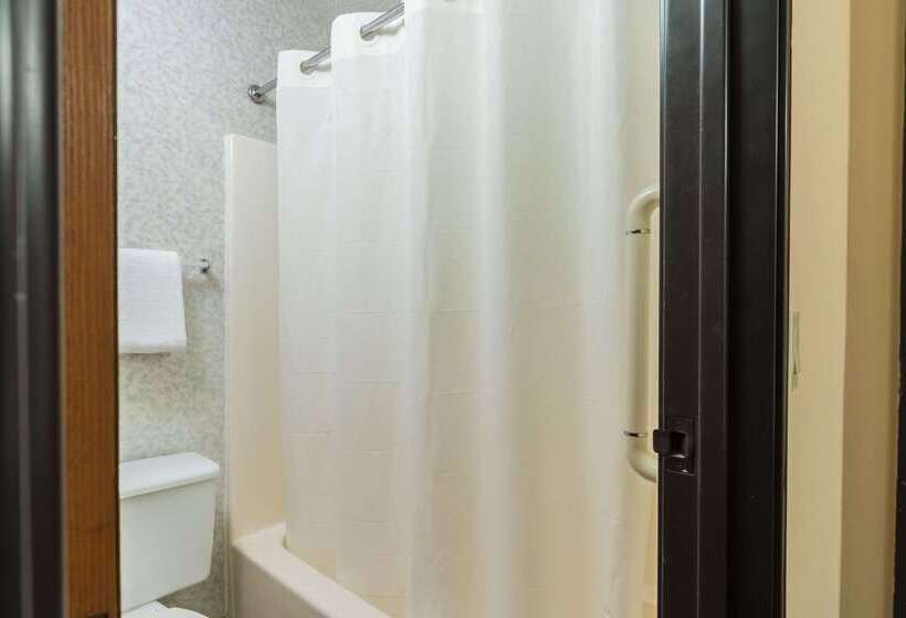 ホテル Rodeway Inn