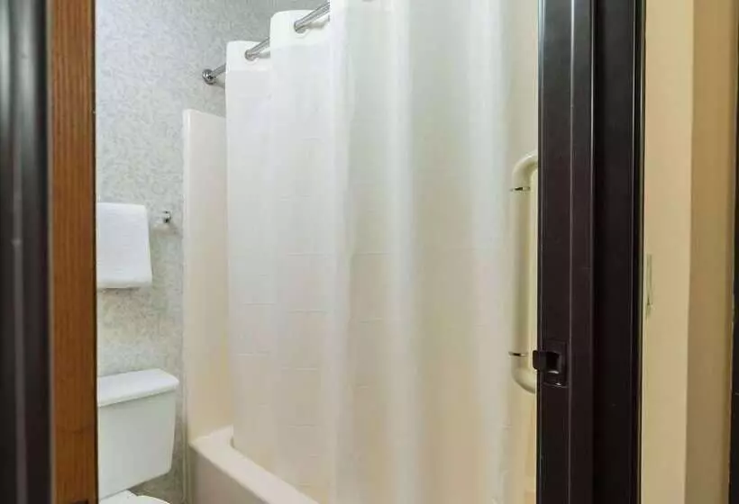 בית מלון כפרי Rodeway Inn