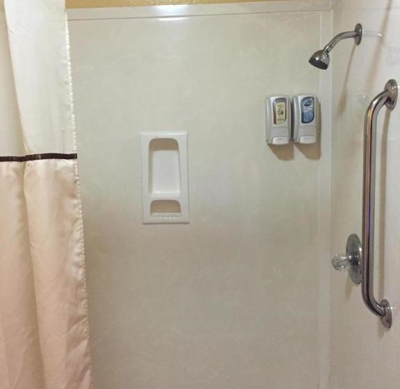 Отель Royal Inn Pearsall