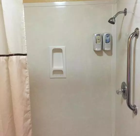 酒店 Royal Inn Pearsall