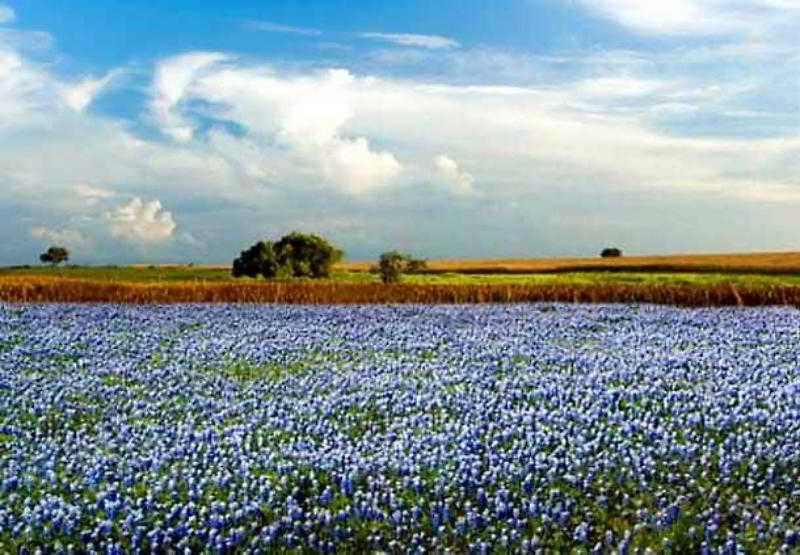 Residence Inn Houston Westchase On Westheimer