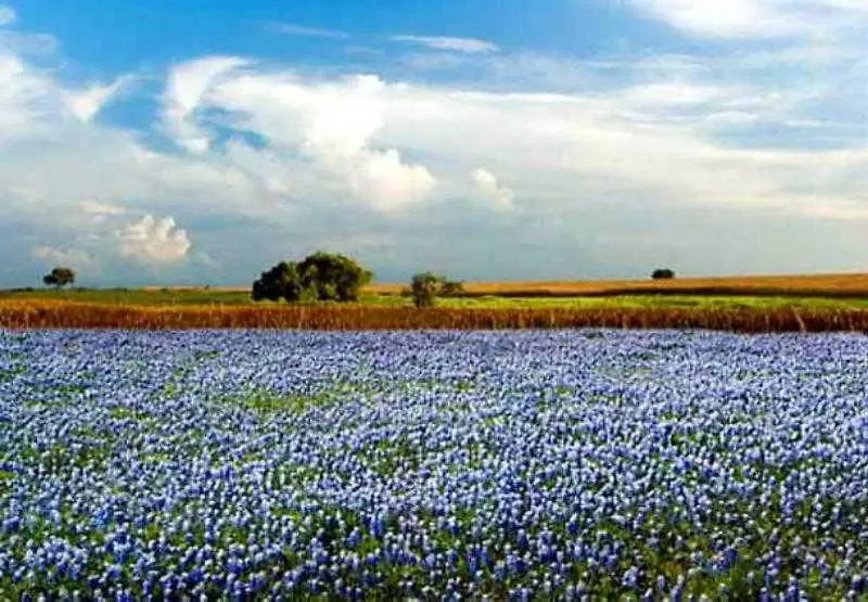 Residence Inn Houston Westchase On Westheimer