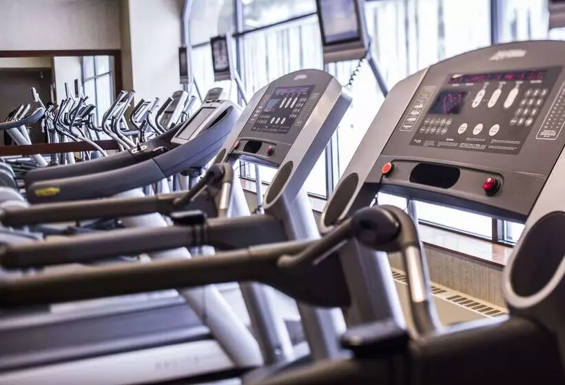 The Everline Resort & Spa Lake Tahoe