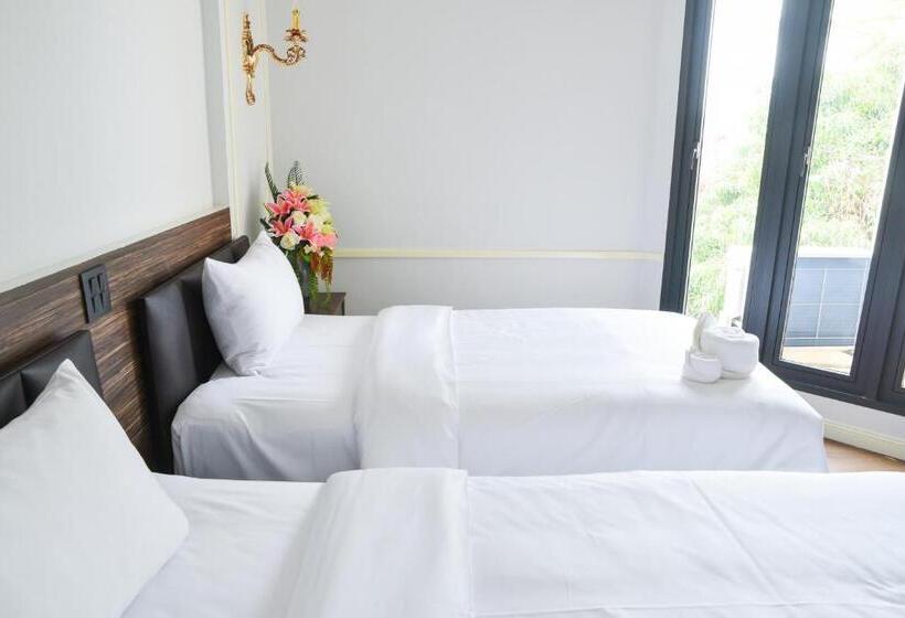 Отель The Maceo