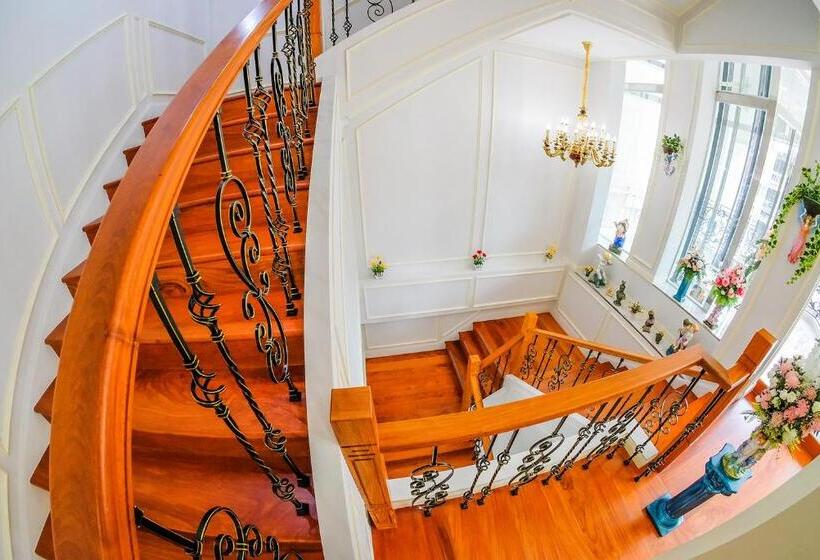 Отель The Maceo