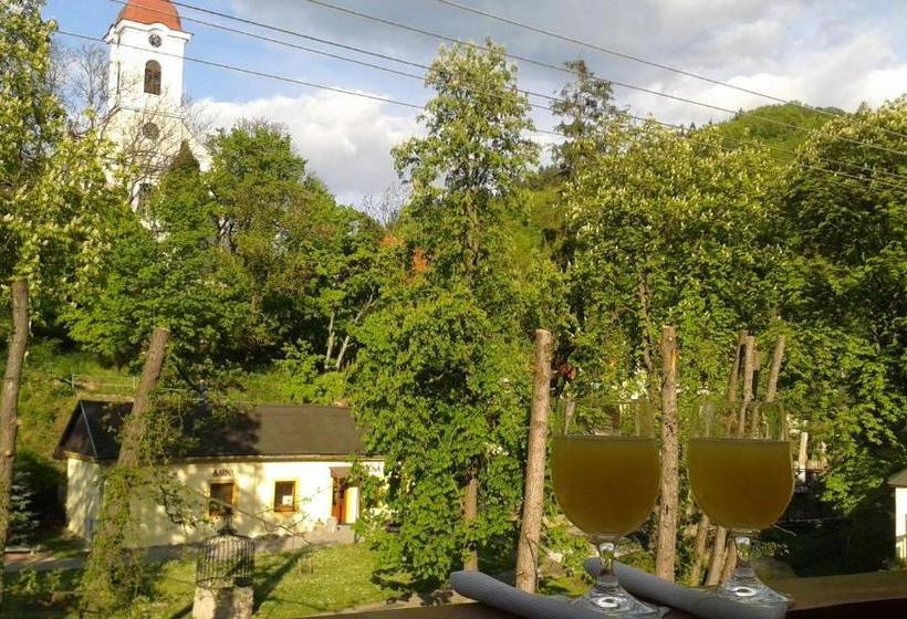 ペンション Penzion Centrum